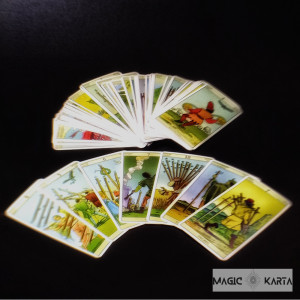 ТАРО НОВОГО БАЧЕННЯ Tarot of the NEW VISION. Photo 3